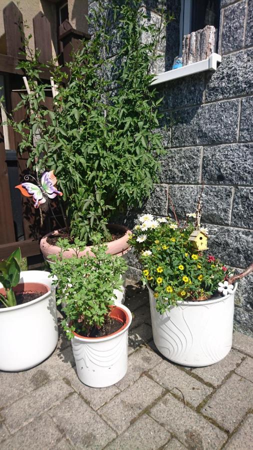 Ferienwohnung mit Garten und Spielplatz Klingenthal Exterior foto