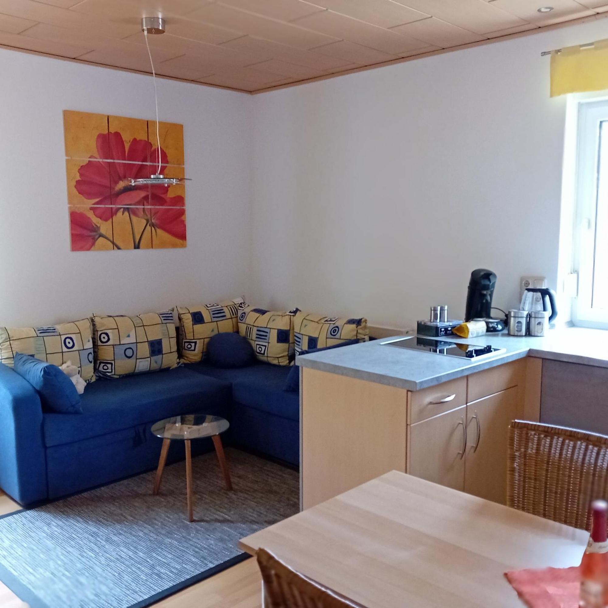 Ferienwohnung mit Garten und Spielplatz Klingenthal Exterior foto